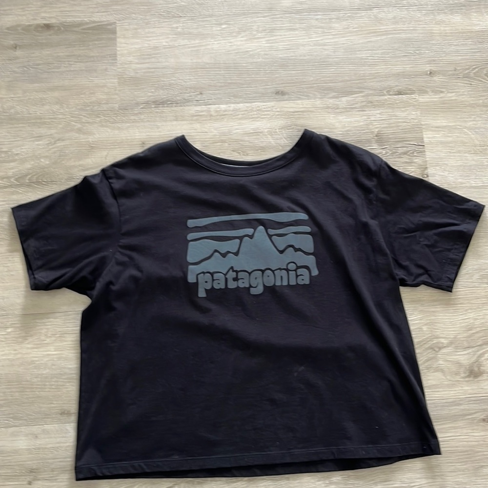 Patagonia Tee.  Never Worn & in perfect condition!